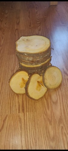 Rustic wooden slices - rustic,