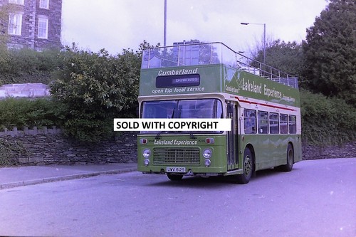 Bus negative 35mm cumberland - bus,
