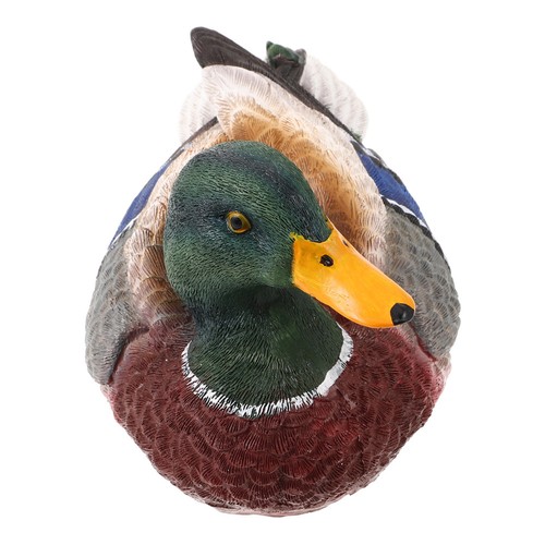 Floating duck house for - duck,