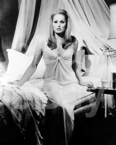Ursula andress 10x8 photo - ursula,