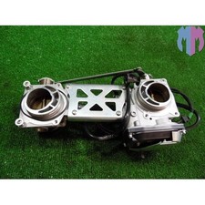 Butterfly body Ducati Monster