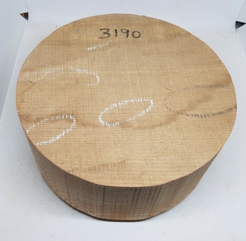 Elm wood turning - , blanks