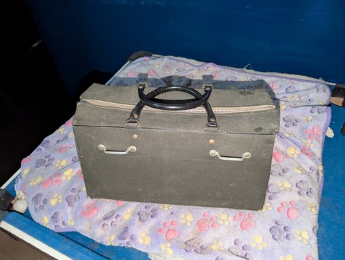 Vintage gladstone doctors bag - vintage,