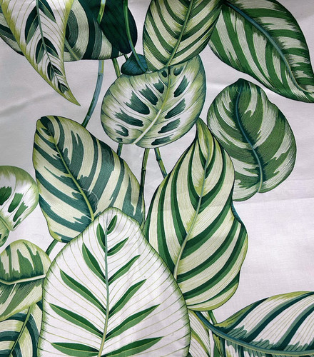 Calathea fabric sanderson - fabric,