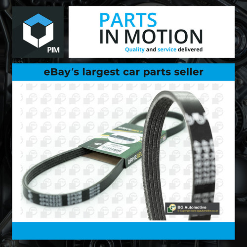 Rib multi drive belt - drive,