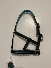 New Mini Shetland  Head Collar