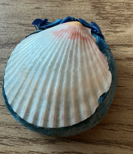 Victorian cockleshell pin - cockleshell,
