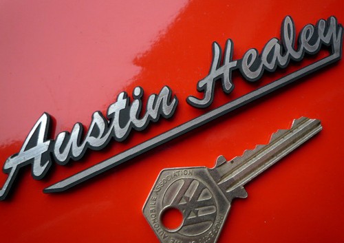 Austin healey self - self, adhesive