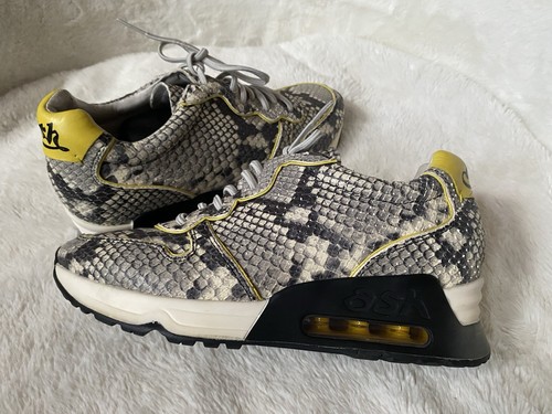 Ash limited grey snakeskin - limited,
