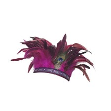 Feather Headdress Bohemian