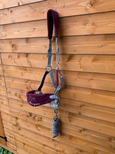 Nylon horse halter headcollar - horse,