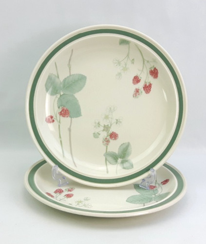 Wedgwood raspberry cane 2x - cane,