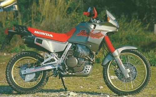 Honda dominator nx650 sticker - honda,