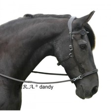 Dandy Sidepull Bitless Bridle & Reins