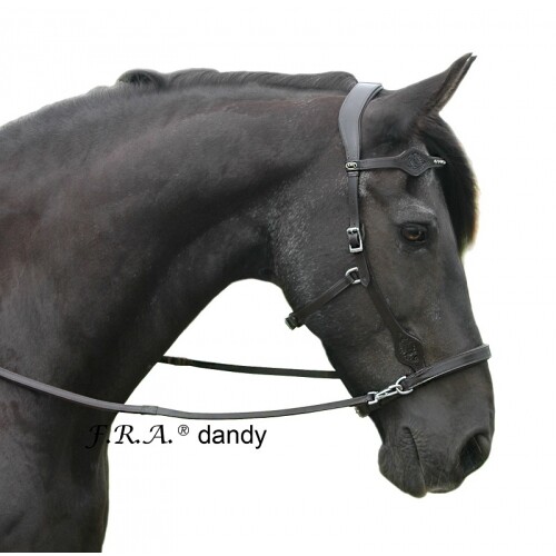 Dandy sidepull bitless bridle - dandy,