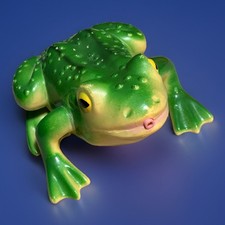Vintage Croaking Garden Frog