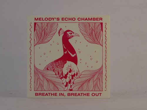 Melody echo chamber - melody's,