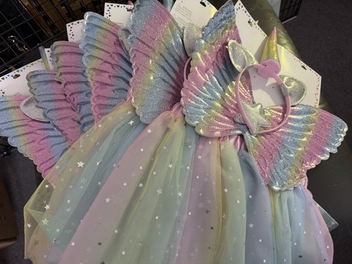 Unicorn fairy dress - fairy,