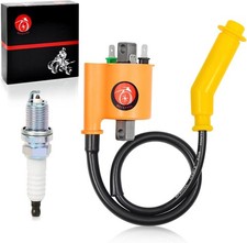 Ignition Coil & Spark Plug and