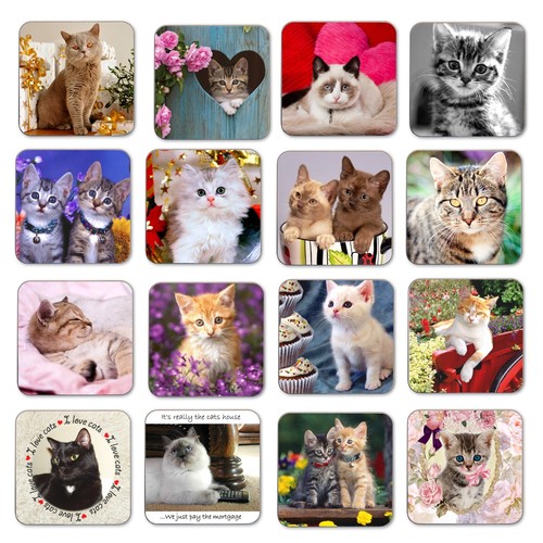 Cat coasters kitten - cat,