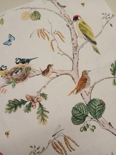 Sanderson woodland chorus - sanderson,