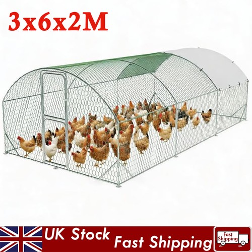 3x6x2m walk chicken - in,