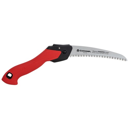 Corona razortooth in - corona,