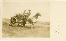 Horse Cart Antique RPPC Real
