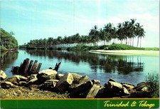 (1669) 15-10-2025 - Trinidad & Tobago (Miltan River)