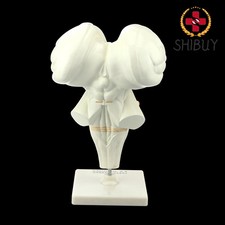 Anatomy Human Brain Stem