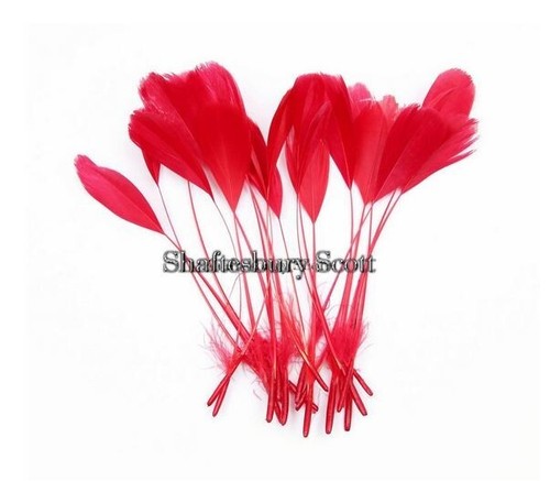Long red feathers - feathers,