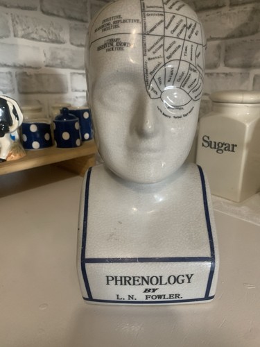 Phrenology head fowler - head, l.n.