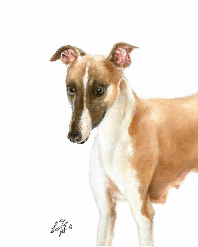 Original oil dog - ❈,
