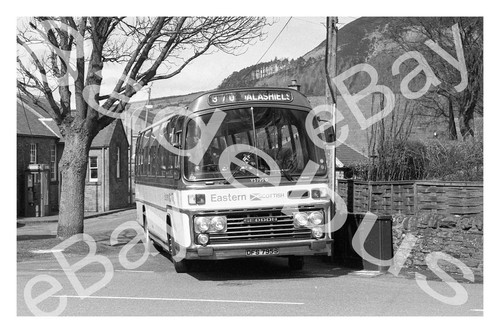 Bus photograph eastern - photograph,