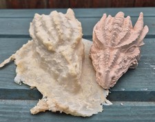 Handmade Latex & Fibreglass Dragons Head Mould