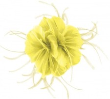 Failsworth Millinery Feather