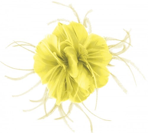 Failsworth millinery feather - millinery,