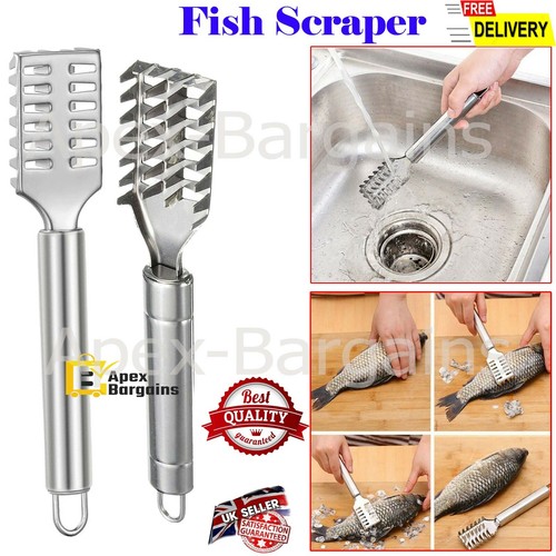 Fish scale scraper - scale,