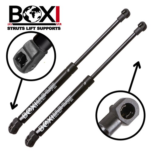 Rear tailgate lift supports - tailgate,