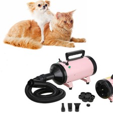 Professional Pet Hairdryer Dog
