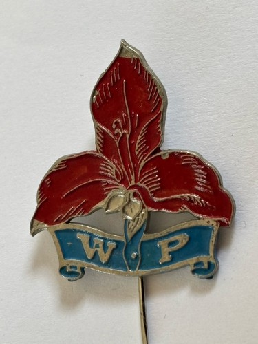 Western province rugby union - rugby,