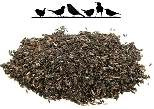 Nyjer niger thistle - nyjer,