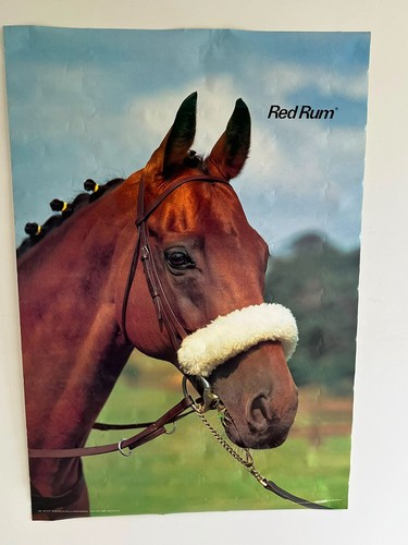Vintage poster red rum - vintage,
