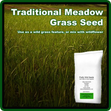 Traditional Meadow Grass Seed
