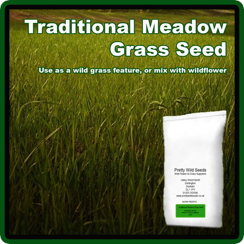 Traditional meadow grass - grass, seed