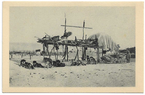 Postcard the express dog sled - express,