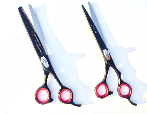 Professional pet grooming - pet,