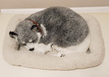 •• Perfect Petzzz -