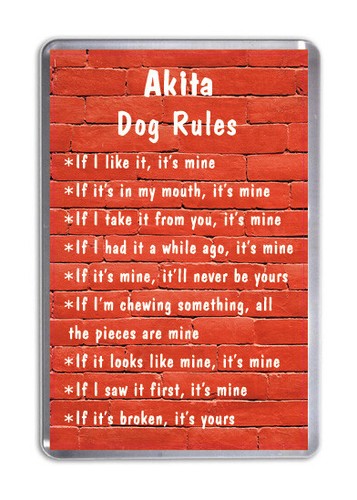 Akita dog rules funny - dog,