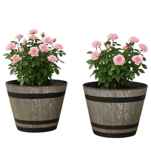 2pc plastic whiskey - 2pc,